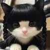 Eunice Moon - @eunice.moon - TikTok