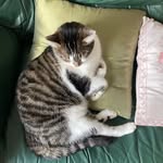 Eunice Morris - @eunicemorris405 - Instagram