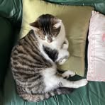Eunice Morris - Facebook