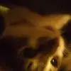 Eunice Morris - @eunice.morris2 - TikTok
