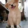 ķþ - @euniceisthefirstpersonin - TikTok