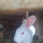 Eunice Peter - Facebook