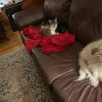 Eunice Poole - Facebook
