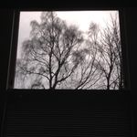 Eunice Power - @eunicerpower - Instagram