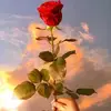 Eunice Ramirez - @eunice.ramirez1 - TikTok