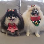 Eunice Schatz - Facebook