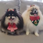 Eunice Schatz - @niceschatz - Instagram