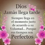 Eunice Suarez - @eunicesuarez2459 - Instagram