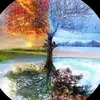 eunice howard45 - @eunice.howard45 - TikTok