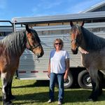 Steve-Eunice Ward - @ertzeward - Instagram