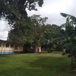 @eunice_weaver_tarde_ - Instagram