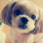EunJin Han - Facebook