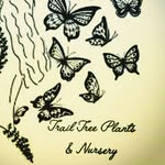 Eureka Carter - @trail_tree_plants - Instagram