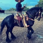 Eusébio Alvarez - @chebooludo - Instagram