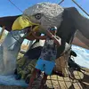 Eusebio Alvarez - @eusebio.alvarez27 - TikTok