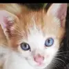 J Eusebio Burgos Alfaro - @j.eusebio.burgos - TikTok