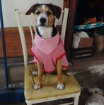Eusebio Cabrera - Facebook