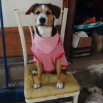 Eusebio Cabrera - @eusebiocabrera3452020 - Instagram
