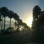 Eusebio Castillo - @castillo.bio - Instagram