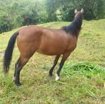 Eusebio Correa - Facebook