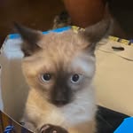 Maximiliano Eusebio-Galindo - @maximiliano_eg - Instagram