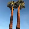 Eusebio Gonzalez - @eusebio.gonzalez345 - TikTok