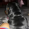eusebioguerra752 - @eusebioguerra752 - TikTok