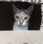 Lucas Eusebio - Facebook