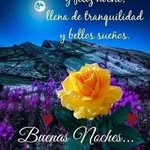 Eusebio Meza Rocha - @eusebiomezarocha - Instagram