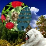 Gilberto Eusebio Meza Dias - @gilbertomezadias - Instagram