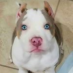 Eusebio Molina - @eusebio.molina.505 - Instagram