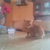 EU - @eusebioorozco79 - TikTok