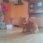 Eusebio Orozco - Facebook