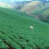 Eusebio Quiñones - @eusebio.quiones25 - TikTok