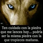 Eusebio Reyes - @eusebio.reyes.585 - Instagram