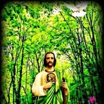 Eusebio Roman - @eusebioroman83 - Instagram