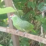 Eusebio Vasquez - @eusebiovasquez7234 - Instagram