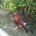 Eusebio Vega - Facebook