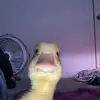 Vlad - @vladeusebiu6 - TikTok