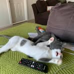 Eustace Browne - Facebook
