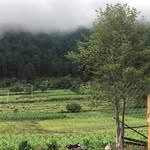 Eustacio Torres Ramirez - @eustaciotorresramirez - Instagram