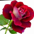 Eustolia Juarez Felipe - Facebook