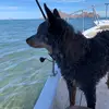 Eutimio - @eutimio_perez - TikTok
