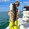 Evan_Abbott - @evan_abbott_20 - TikTok