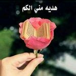 Eva Abdallah - @abdallaheva - Instagram