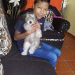 Eva Aceves Alejo - @acevesalejo - Instagram