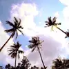 Eva _1 - @evaallen133 - TikTok