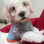 Eva Sanchez Almendares - @evasanchezalmendarez - Instagram