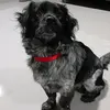 Eva Altamirano - @evamaria20_11 - TikTok