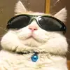 Eva Andersen - @eva.andersen20 - TikTok
